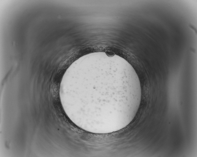 X0000100220037200806201518