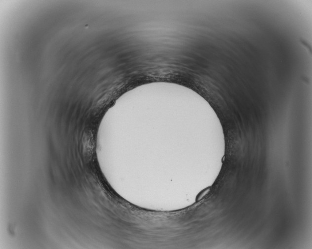 X0000100220040200806201518