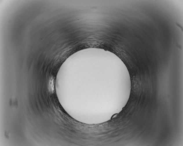 X0000100220042200806201518