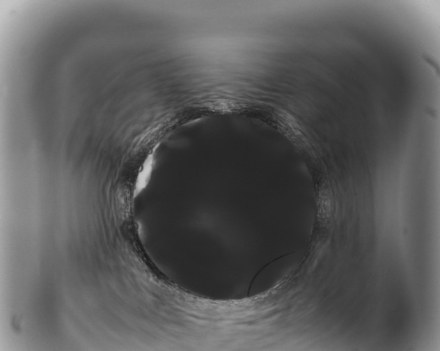 X0000100220043200806201518