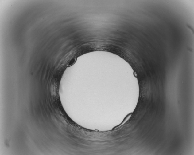 X0000100220044200806201518