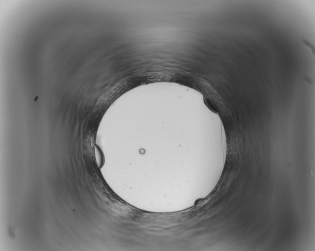 X0000100220045200806201518