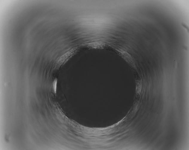 X0000100220047200806201518