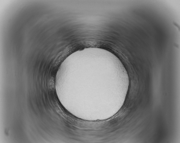 X0000100220048200806201518