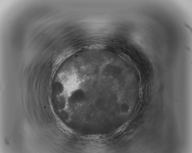 X0000100220049200806201517