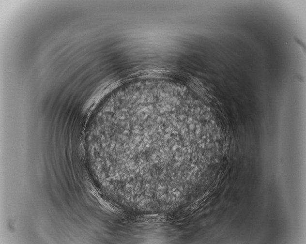 X0000100220050200806201517