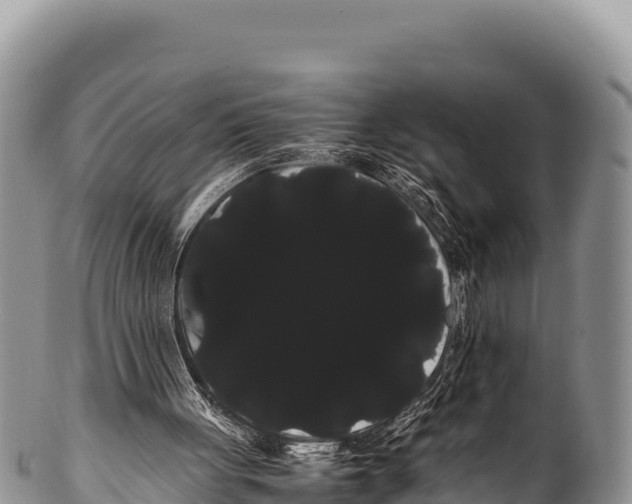 X0000100220051200806201517