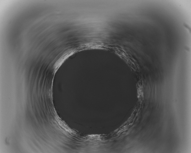 X0000100220052200806201517