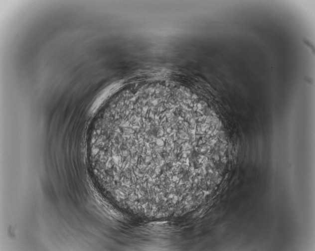 X0000100220054200806201517