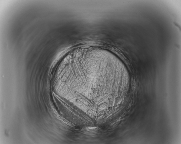 X0000100220055200806201517