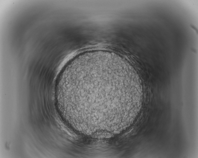 X0000100220056200806201517