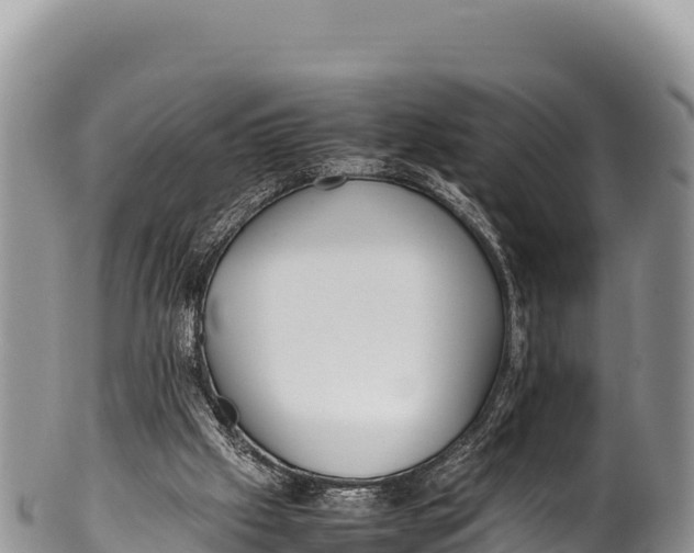 X0000100220057200806201517