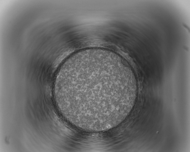 X0000100220060200806201517