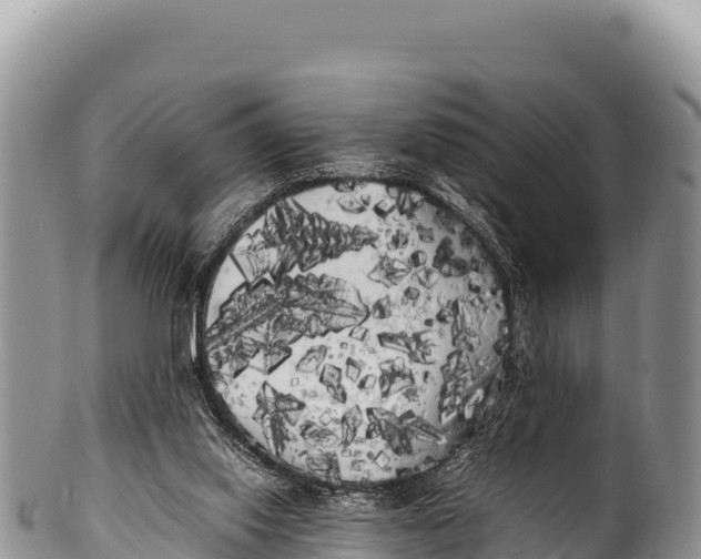 X0000100220062200806201517