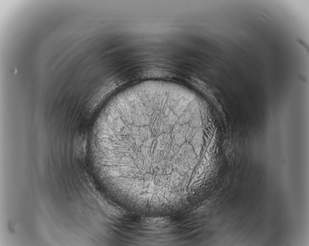 X0000100220063200806201517