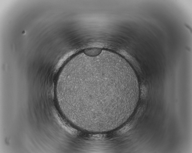 X0000100220064200806201517