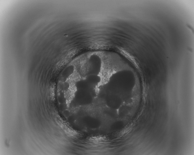 X0000100220065200806201517