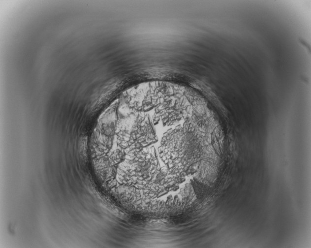 X0000100220066200806201517