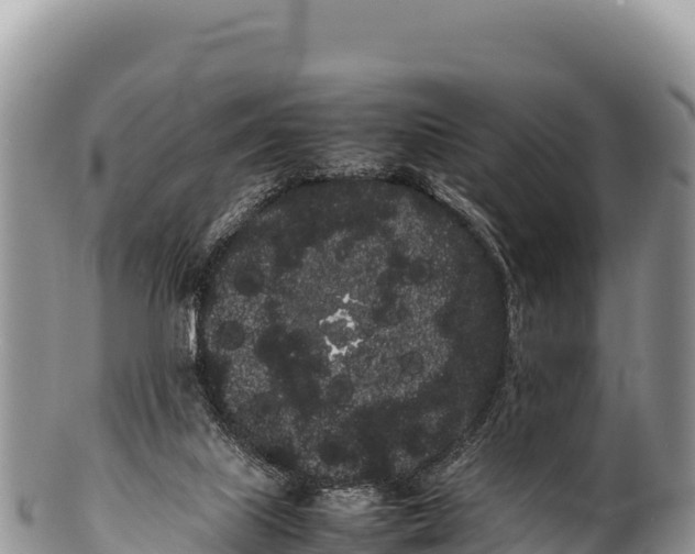 X0000100220067200806201517