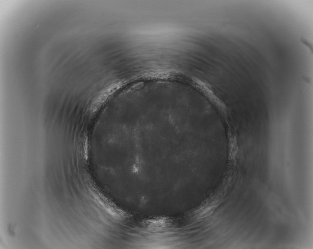 X0000100220068200806201517