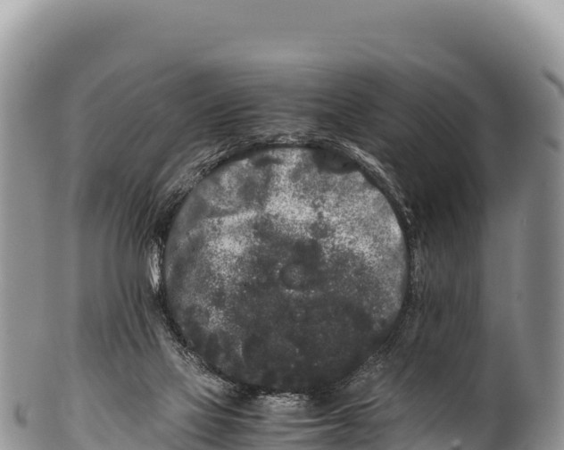 X0000100220069200806201518