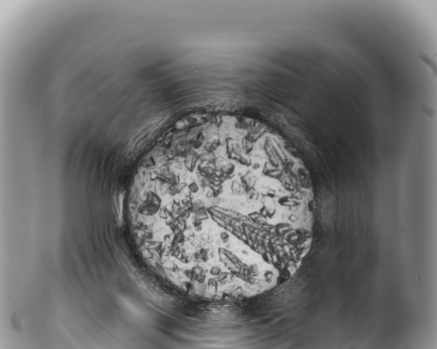 X0000100220070200806201518