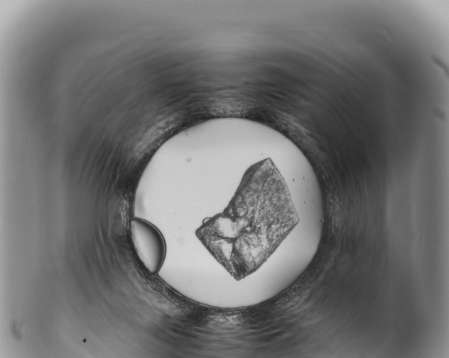 X0000100220071200806201518