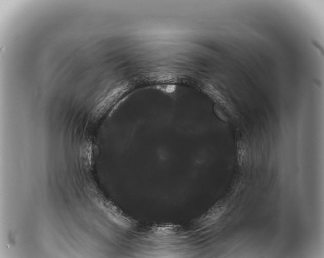 X0000100220072200806201518