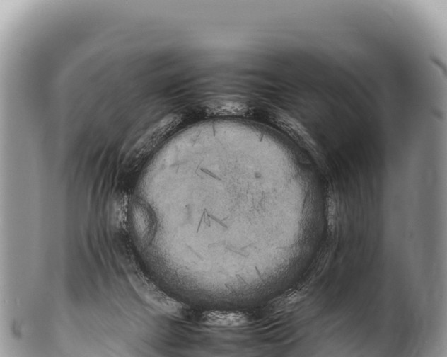 X0000100220073200806201518