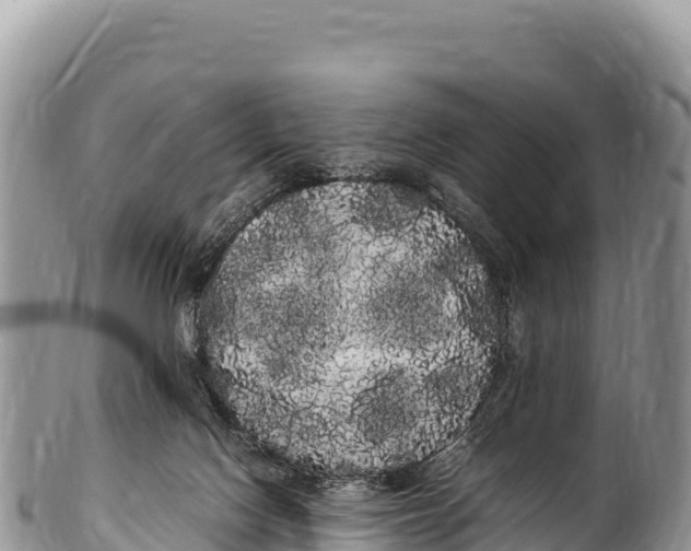 X0000100220074200806201518