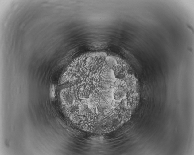 X0000100220075200806201518