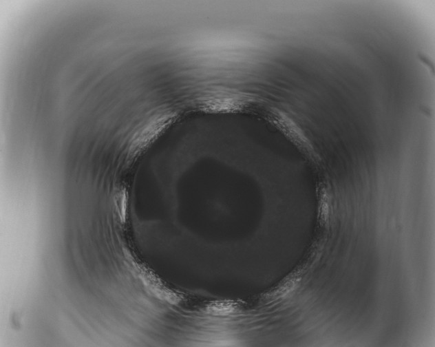 X0000100220076200806201518