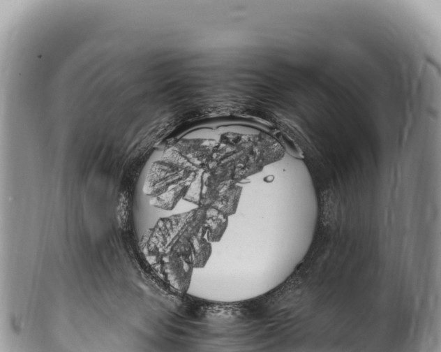 X0000100220077200806201518