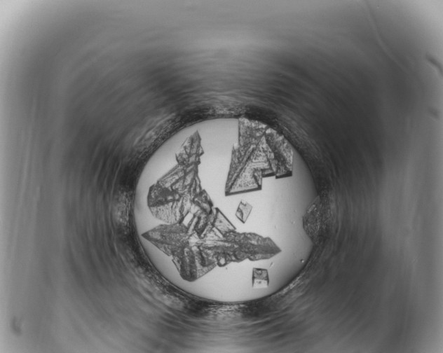 X0000100220078200806201518