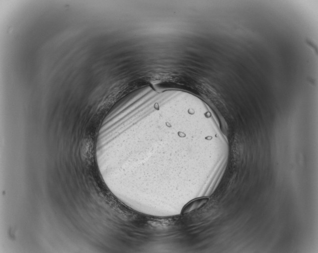 X0000100220079200806201518