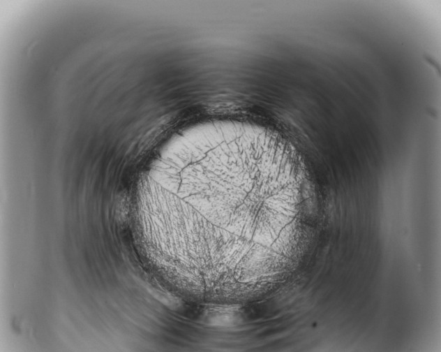 X0000100220081200806201518