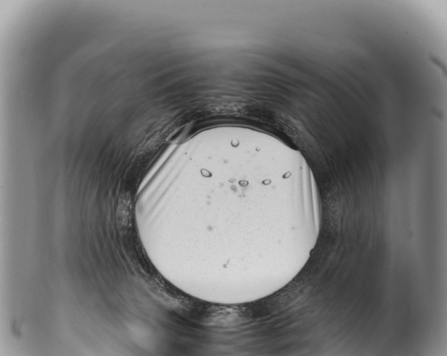 X0000100220083200806201518