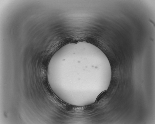 X0000100220084200806201518