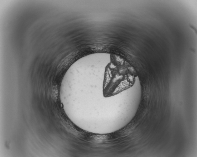 X0000100220085200806201518