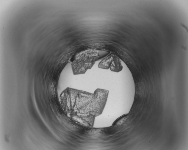 X0000100220086200806201518