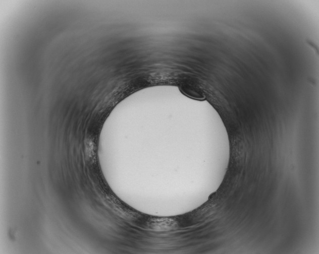 X0000100220087200806201518