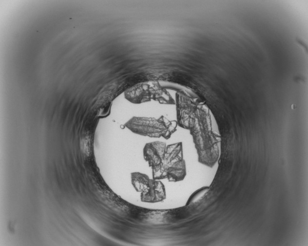 X0000100220090200806201518