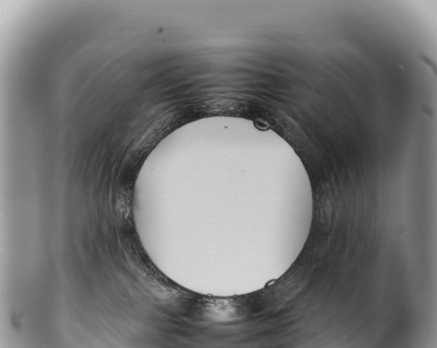 X0000100220091200806201518