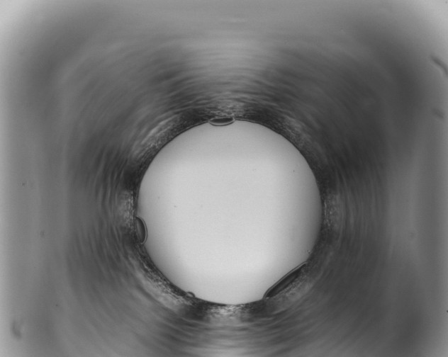 X0000100220092200806201518