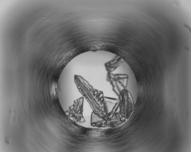 X0000100220094200806201518