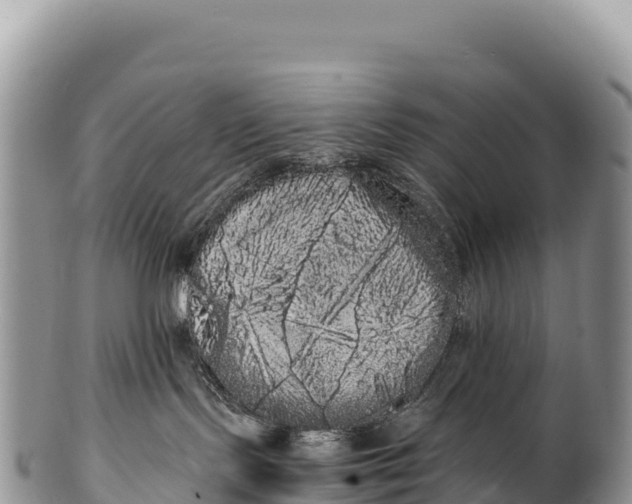 X0000100220095200806201518