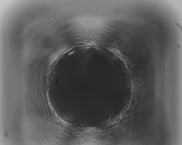 X0000100220097200806201517