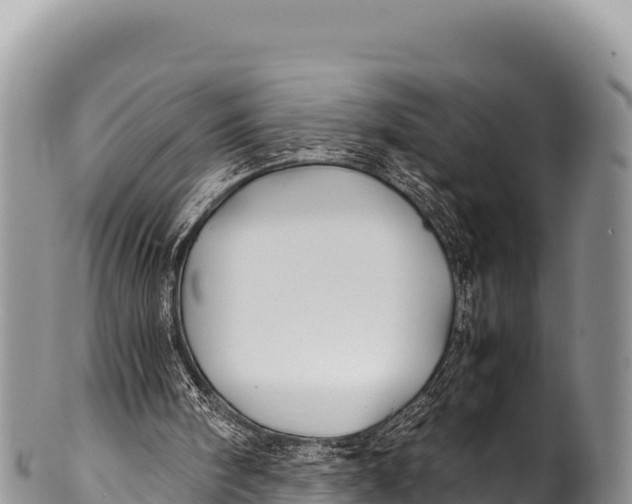 X0000100220098200806201517