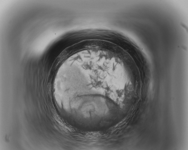 X0000100220099200806201517