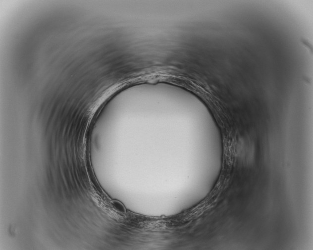 X0000100220100200806201517